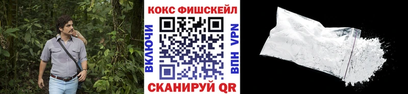COCAIN FishScale ссылка на мегу сайт Кунгур