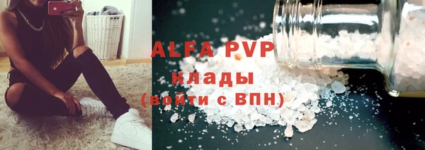 PSILOCYBIN Балахна