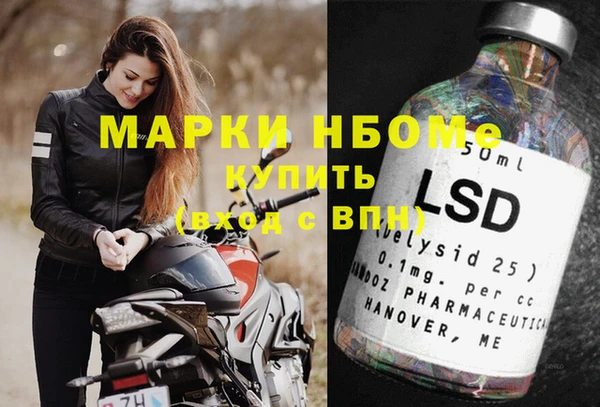 индика Арсеньев