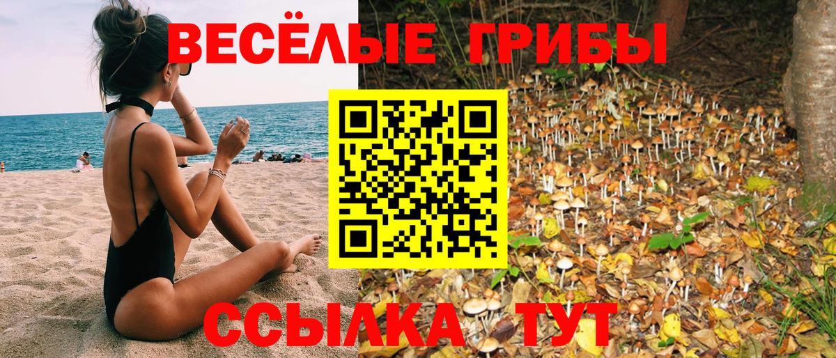 Псилоцибиновые грибы мухоморы  наркотики  Вход с VPN  Кунгур  Псилоцибиновые грибы мицелий 
